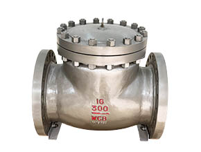 api Check Valve